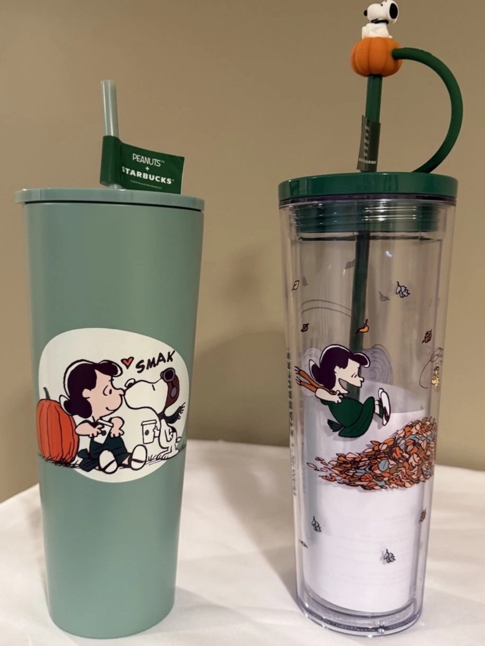 Starbucks Limited Edition Snoopy Peanuts Bundle of Steel Cup & Plastic Tumbler